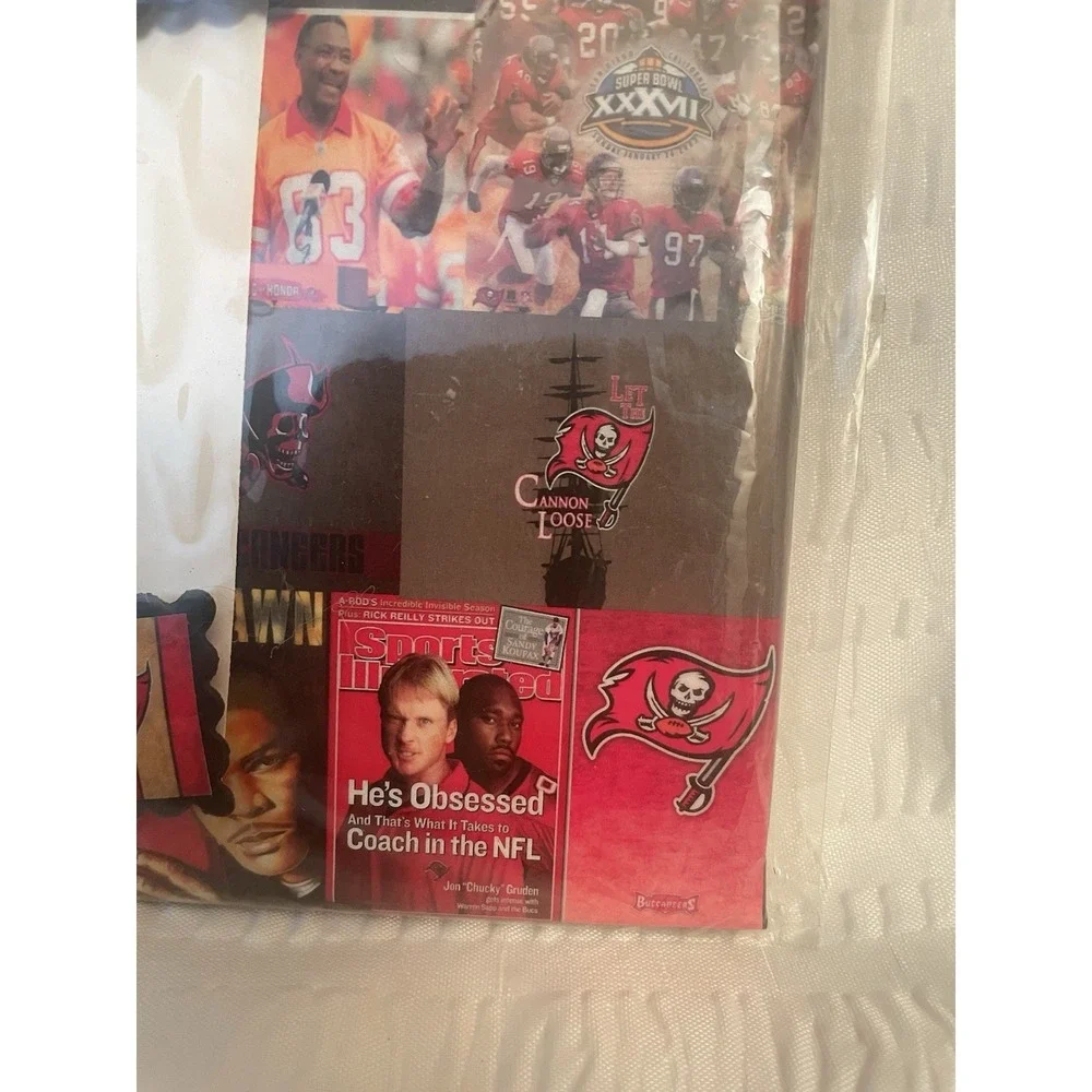 Tampa Bay Buccaneers Multipurpose Decorative Wall Art With Four Magnets NEW